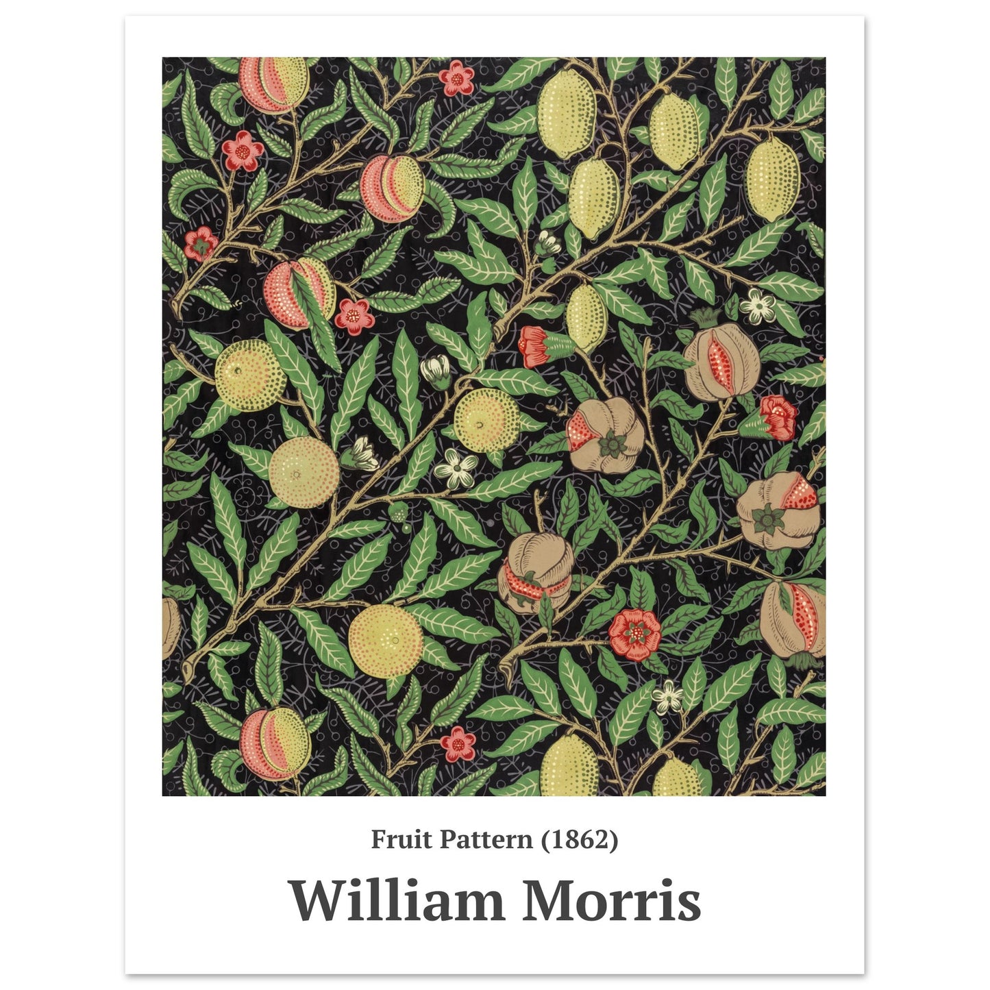 Poster – Fruchtmuster (1862) William Morris – Premium mattes Posterpapier 