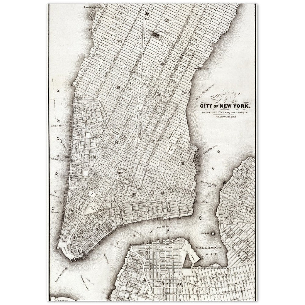 Poster – New York City Poster (um 1850) Premium Matte Paper