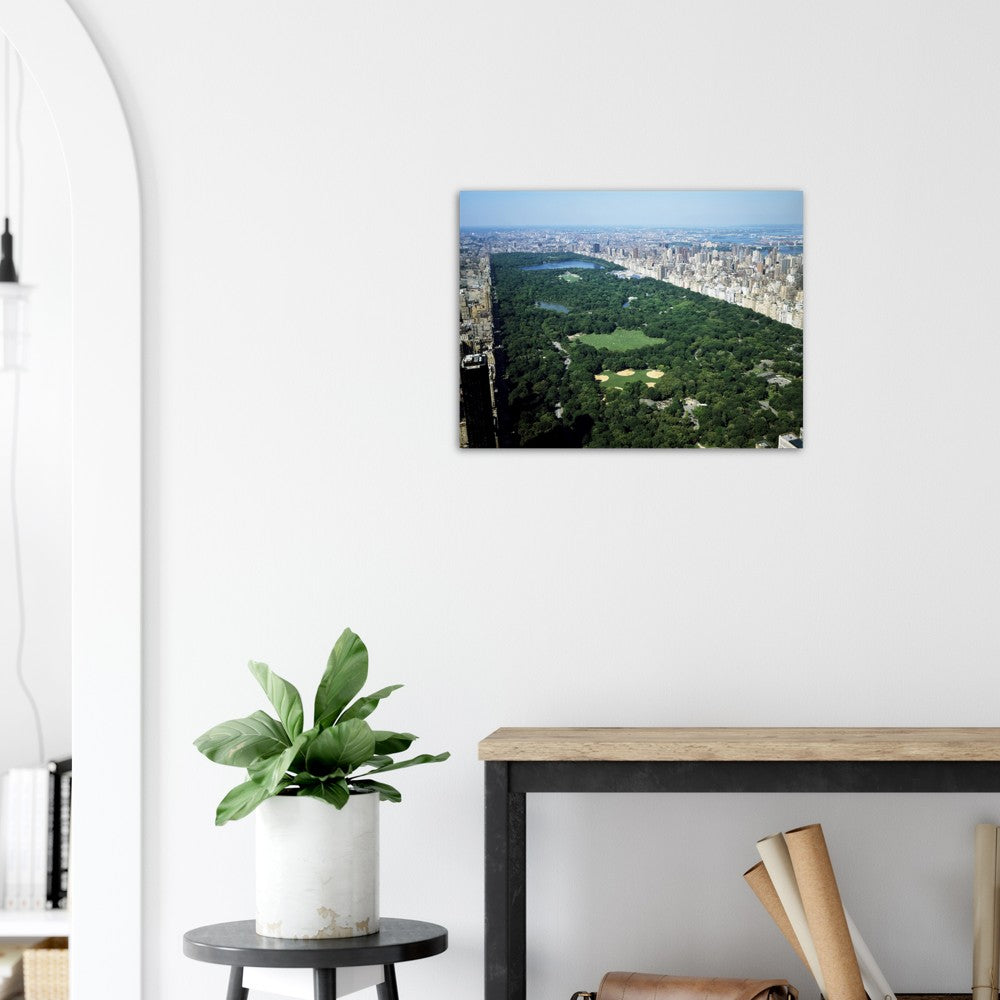 Plakat - New York Luftfoto af Central Park af Carol M. Highsmith - Premium Mat Papir